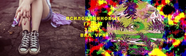 кокс Осташков