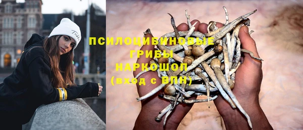 Альфа ПВП Алзамай