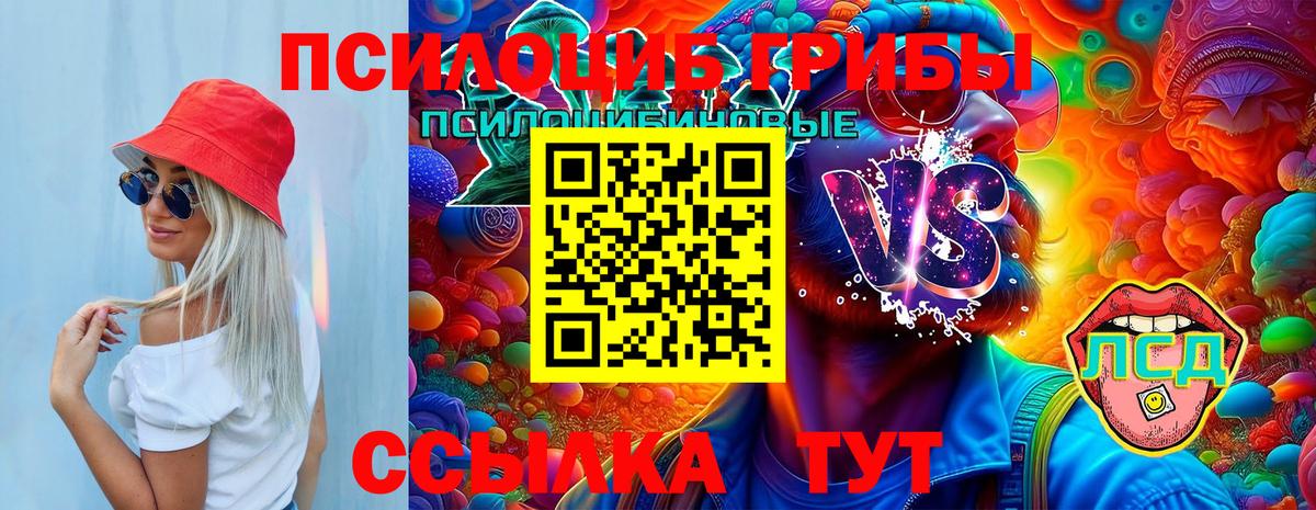 Галлюциногенные грибы Psilocybine cubensis Октябрьский