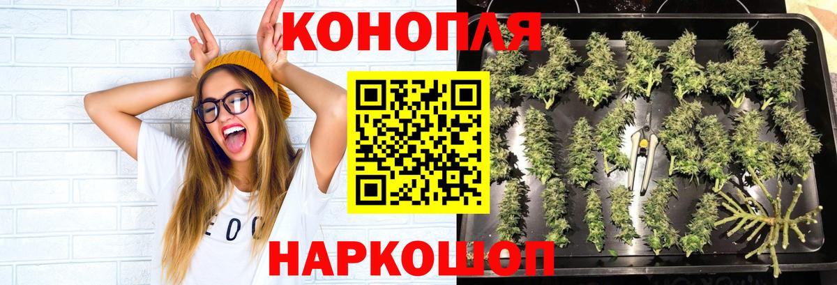 Марихуана AK-47  Каннабис THC 21%  Марихуана план  Вход с VPN  Канабис гибрид  Октябрьский 